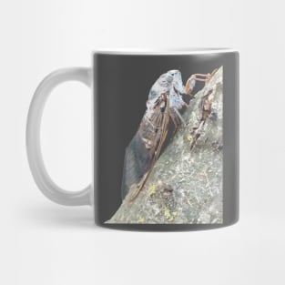 Cicada Insect Vector Mug